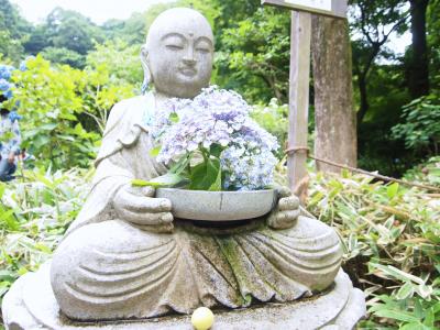 初夏の鎌倉～イロトリドリの紫陽花巡り～