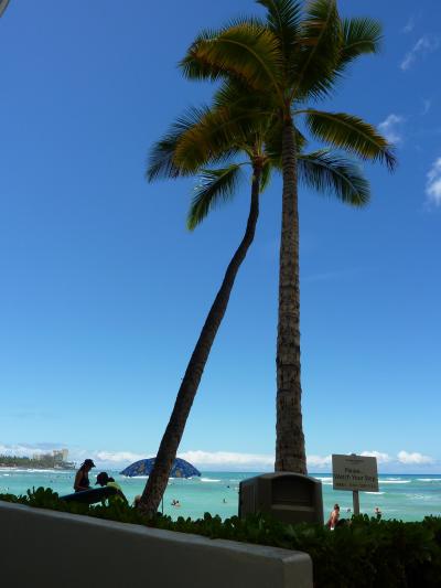 Aloha Hawaii その1～カメハメハとアラモアナ