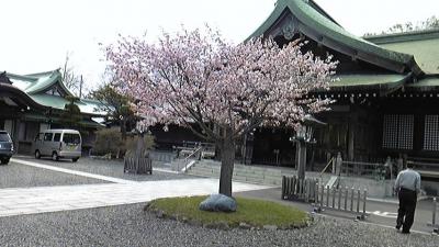 北海道　毛蟹　満腹の旅2010  花の 室蘭八幡宮