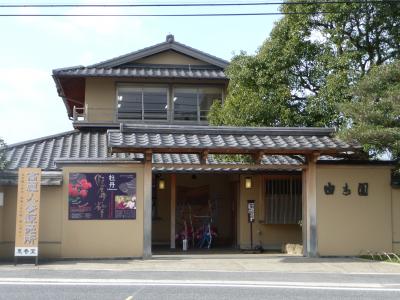 大根島の冬牡丹と松江城?(牡丹編)