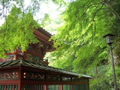 「　高尾山　１号路～６号路　」　ウォーク  ( 2010/7月）