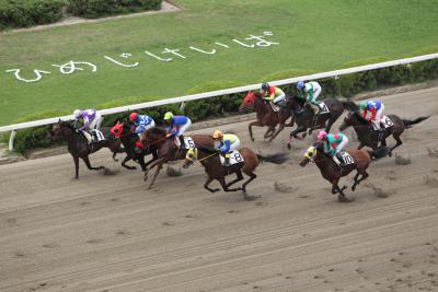 姫路競馬場