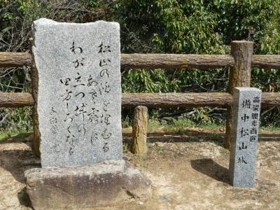 備中松山城