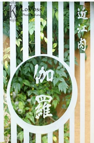 滋賀　彦根　＜ひこにゃんに会えず・・＞