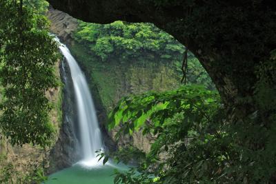 阿蘇の落水、数鹿流ヶ滝　『日本の滝百選』　/熊本県阿蘇郡