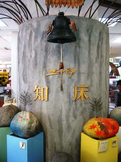 道東-12　知床自然センターで昼食･見学　☆キタキツネと夜遭遇！