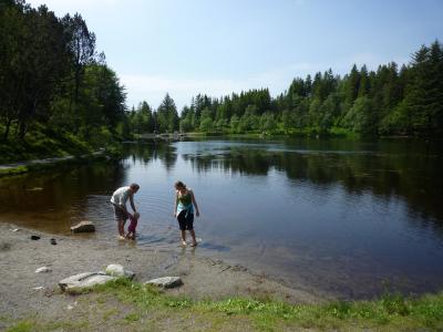 ノルウェーモニター旅行8 フロイエン山ハイキング