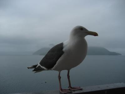 有珠山火口探索と洞爺湖温泉の旅