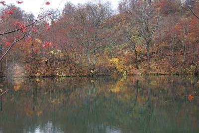 信州の紅葉　2009