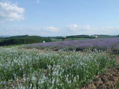 初夏の北海道
