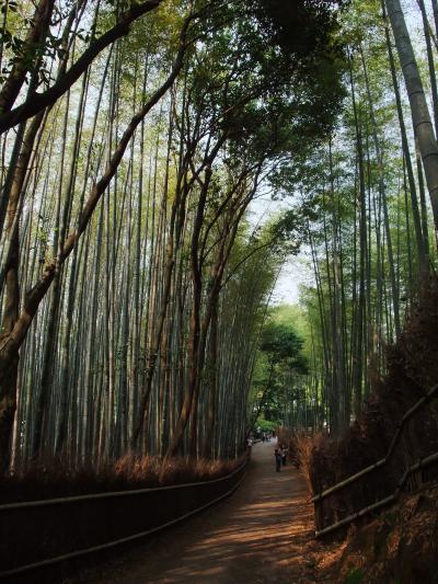 京都竹林ぶらぶら歩き