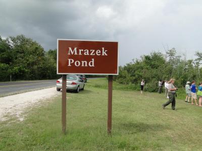 ☆「マイアミラプソディー⑤変わった鳥さんだらけ、おまけにダースベーダーも(^^ゞ、Mrazek Pond」☆