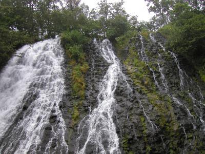 ２００４年８月３０日～９月１日道東　その５　オシンコシンの滝　とおまけ
