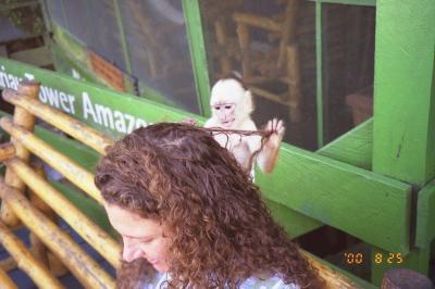 2000年8月ブラジル旅行記その３（マナウス）