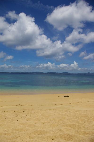 恒例行事　沖縄旅行２０１０