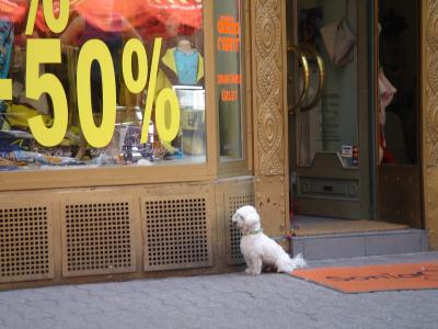 ハンガリー徒然長期出張記録 番外編 ～相方の平日ブダペスト観光～