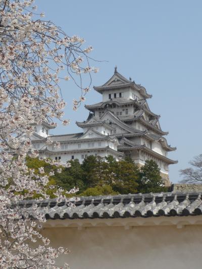 世界遺産「姫路城」 - 桜が咲く季節