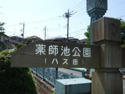 2010.05.17薬師池公園