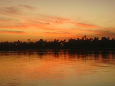 なみお＆みすたぁのなんちゃって世界一周旅行　エジプト・ファルーカの旅