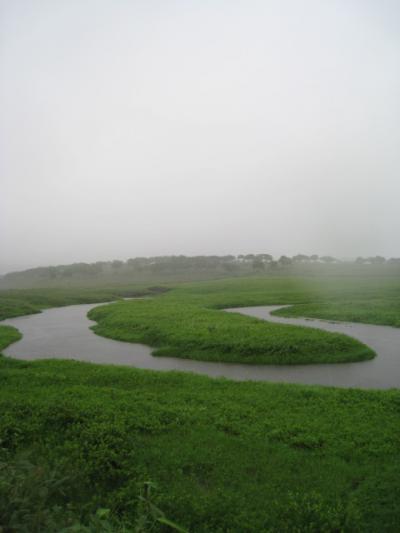 雨、雨、雨の＜雨竜沼湿原＞