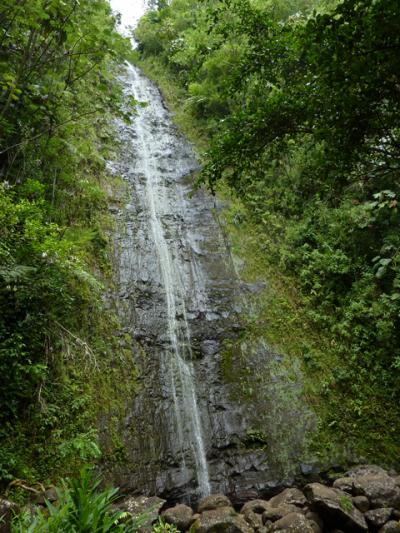 Aloha Hawaii その3～ハワイに熱帯雨林？マノア滝ツアー