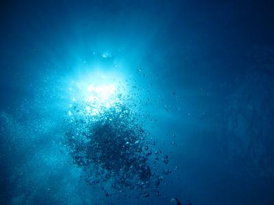 慶良間諸島（阿嘉島）へ初一人旅＆ダイビング　（２・３日目 ３～４ダイブ目）