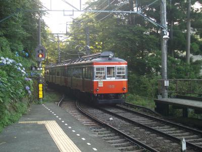 箱根登山鉄道　宮ノ下　あじさい