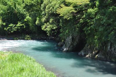 夏の藁科川
