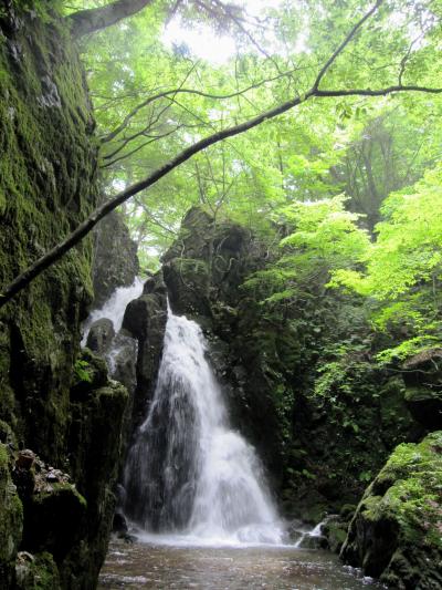 岡山/①暑い！涼を求めて・・・　不動滝とそうめん流し＠涼水亭