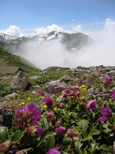 2010.7 夏の大雪山でオフ会登山」【１】…爆笑の黒岳登山♪