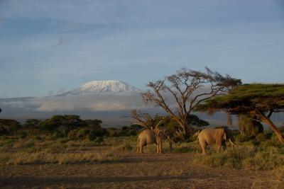 ケニア　サファリとビーチ旅行