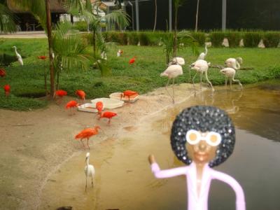 なみお＆みすたぁのなんちゃって世界一周旅行　ブラジル・マンガル・ダス・ガルサス公園①