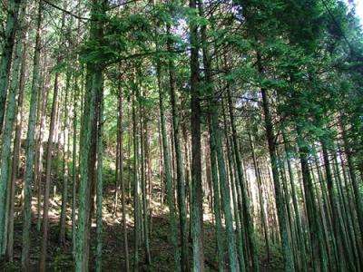 赤目温泉～四十八滝（１）お宿編