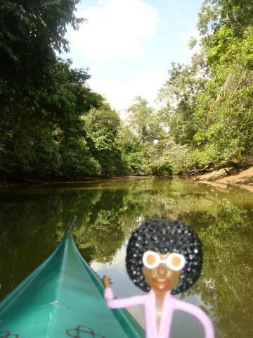 なみお＆みすたぁのなんちゃって世界一周旅行　ブラジル・マラジョー島でアマゾン探検