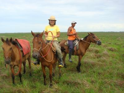 なみお＆みすたぁのなんちゃって世界一周旅行　ブラジル・命がけの乗馬体験