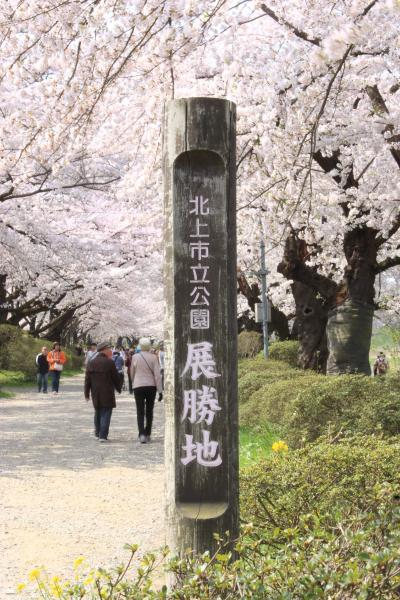 5月4日壹『北上展勝地』