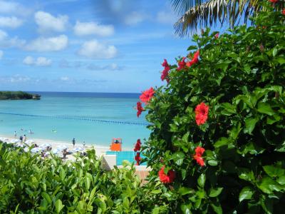 女４人沖縄in日航アリビラ～癒しの旅～