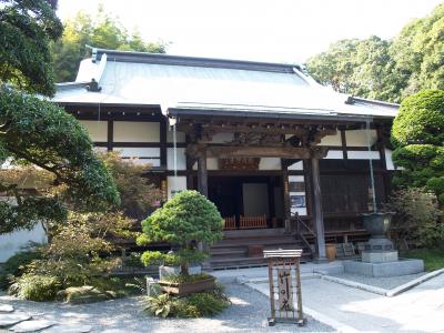 鎌倉報国寺－2008年夏