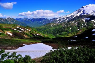 カムチャッカ雲上の花々と残雪の山２　（３日目ビリュチンスキー山ベース地到着まで）