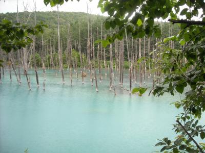 ２０１０夏休み・札幌近郊の旅・★大雨（涙）の美瑛、富良野ドライブ編★