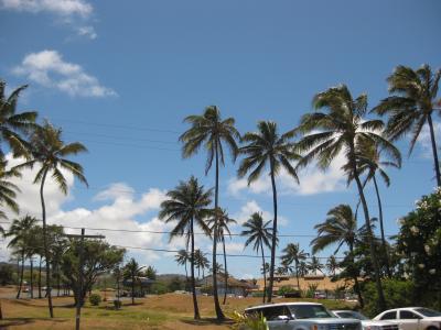 2010 ハワイ