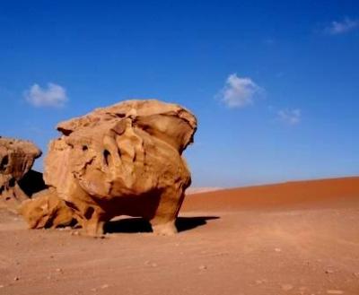 女二人旅中東4ヶ国の旅!②ワディラムで迷子??!!