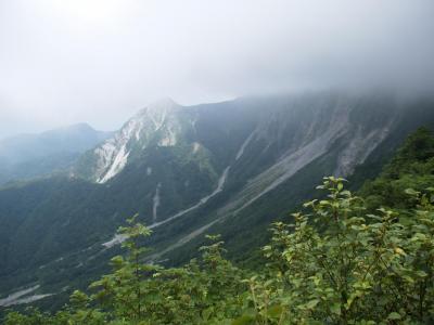 滝メグラー百名山に登る７　真夏の大山は花盛り