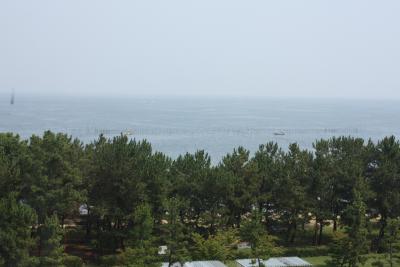 [2010年07月] 琵琶湖、海水浴？いえいえ湖水浴です。