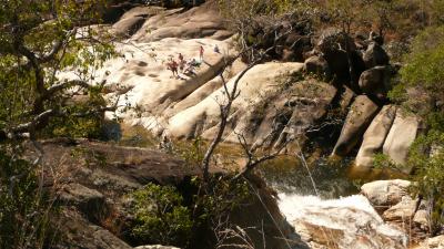 2010年豪州 パームコーブ&アサートン・テーブルランドとダイビング ①