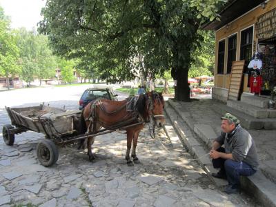 バラの国。ブルガリア。~コプリフシティツァ・リラの僧院~