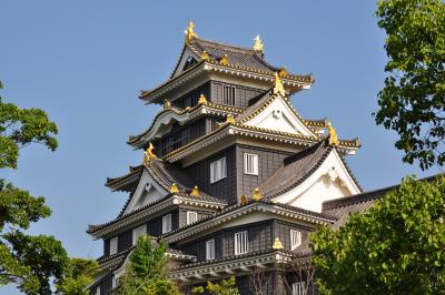 祭りに、城に!!