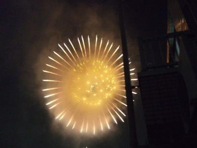 2010.07.31八王子花火大会