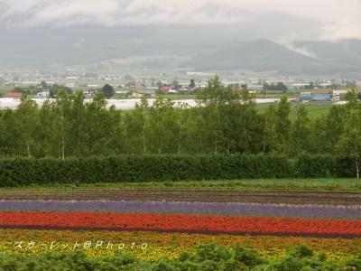 プチトリップ☆富良野・美瑛
