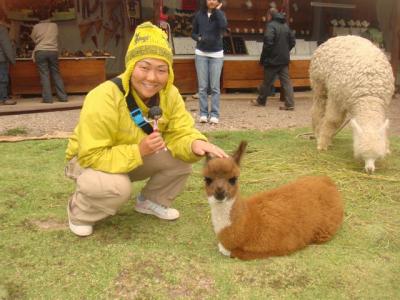 なみお＆みすたぁのなんちゃって世界一周旅行　ペルー・インカ・エクスプレス